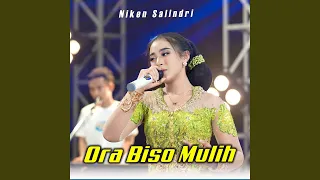 Download ORA BISO MULIH MP3