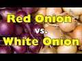 Red Onion vs White Onion What s the REAL Difference