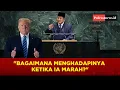 Download Lagu TRUMP PUN KETAR-KETIR MELIHAT AMARAH PRABOWO