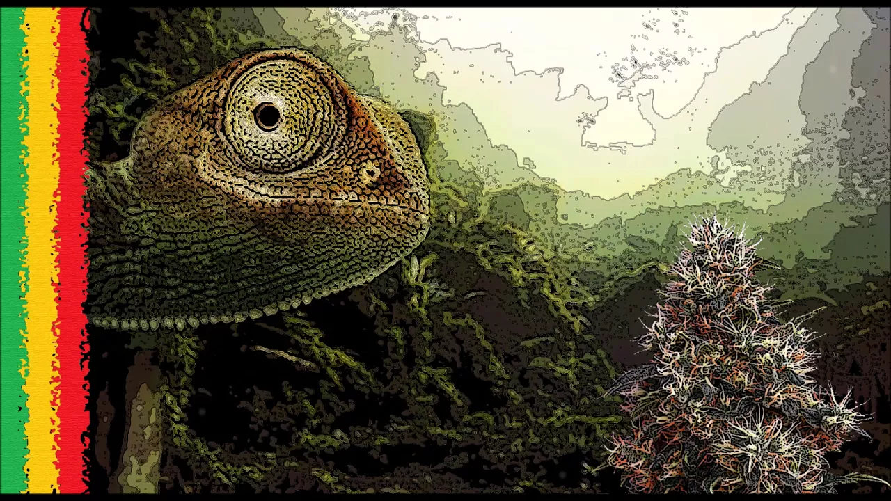 🎤 Hip Hop Reggae 2019 🔊 Rap&Chillest Reggae Mix #1 // Reggae Rap Hip Hop 🎶