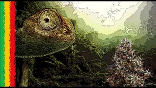  hip hop reggae 2019 rap u0026chillest reggae mix 1 reggae rap hip hop 