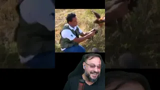 Aves de rapina ajudam a eliminar espécies exóticas em Fernando de Noronha