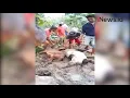 Download Lagu Banjir dan Longsor di Kebumen Puluhan Ternak Warga Mati