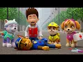 Download Lagu Please Wake Up CHASE !!!! What Happened? Very Sad Story | Paw Patrol Ultimate Rescue | Rainbow 3