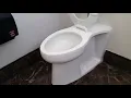1379 Another Kohler Modflex toilet