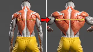 Build a 3D Back — 5 Exercises for More Width, Thickness & Power