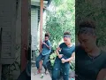 Download Lagu PNG DANCE