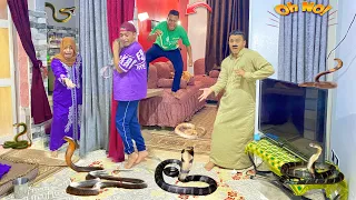 لما تجيب تعابين البيت وتخوف علتك بيهم عمر نصر 