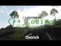 UNIGINE TUTORIAL C GUI Basics