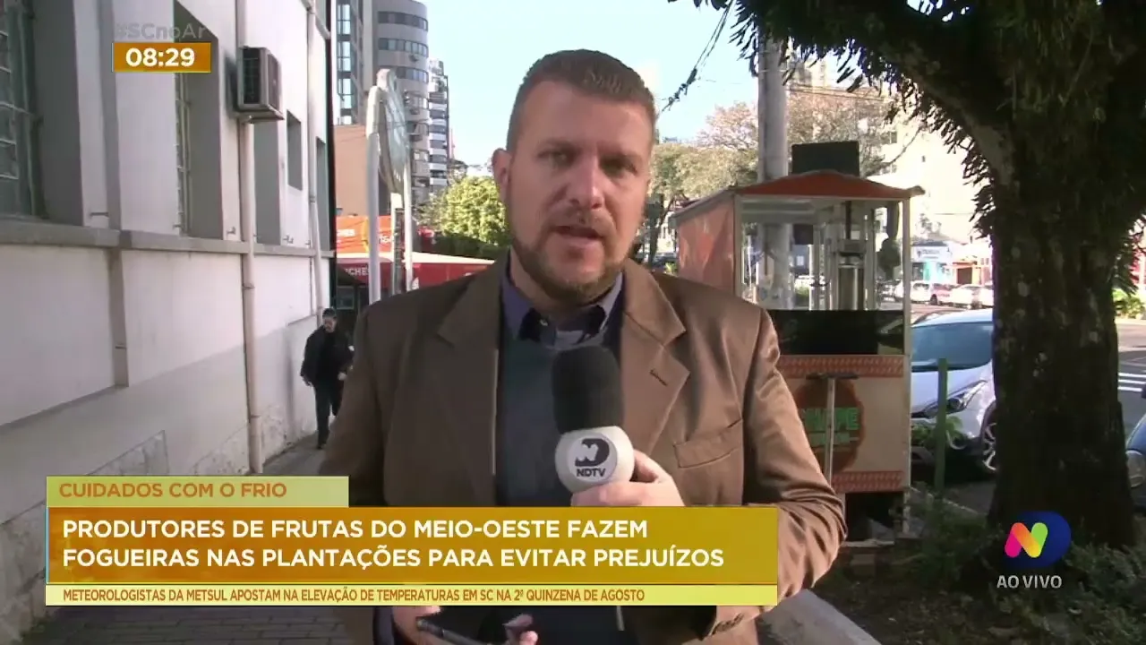 Produtores do Meio-Oeste de SC fazem fogueiras nas plantações para evitar prejuízos