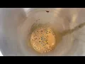 The BEST Brown Sugar Shaken Espresso Recipe