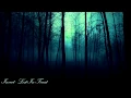 Download Lagu Invect - Lost In Forest (Dark Fantasy Music)