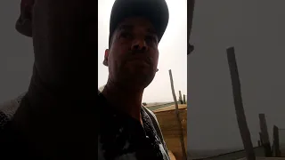 اجي نكل التين من الكرمة نيسان تربية الدجاج عشق دواجن رودانة 