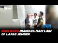 Download Lagu Napi Baru Dianiaya Napi Lain di Kamar Mandi Lapas Jember #iNewsSiang 04/10