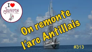 #313 On remonte l’arc Antillais