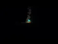 poison tree - grouper (slowed with 1 hour loop)