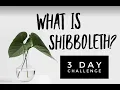 What is Shibboleth 3 Day Challenge