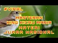Download Lagu Masteran Terbaik Sepanjang Masa | Materi Juara Nasional - Masteran Burung Kicau Juara