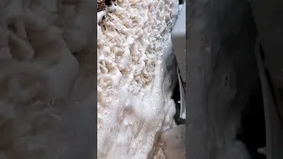 احدث مشروع لغسيل السجاد والتنظيف العربي والغربي غسيل سجاد متسخ Shorts Shortvideo Viral 