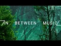 emancipator - Stonewall