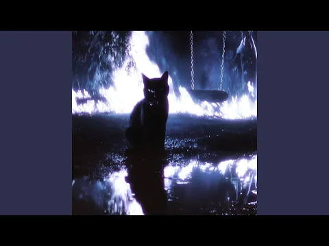 Video Thumbnail: MI GATA