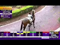 Fair Grounds Today