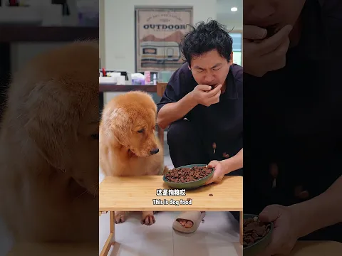 🐶狗：有啥大病！Dog: What's wrong with you? #dog #goldenretriever #pets