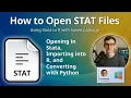How to Open STAT Files Stata Dataset