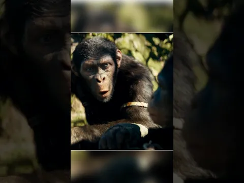 “This Monkey Challenged Death for an Egg! 🐒💀 | #shorts”