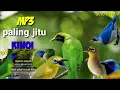 Download Lagu MP3 Kinoi paling jitu,...