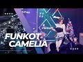 Lagu FUNKOT CAMELIA BY DJ ALIENDYA