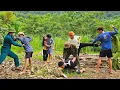 Download Lagu The kind-hearted engineer did everything he could to help the poor single girl out of trouble