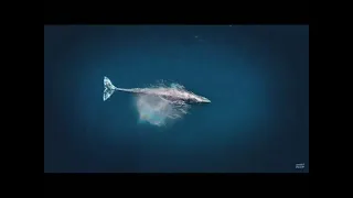 Al Isra De Yusuf Al Aidarous 