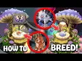 How to Breed Hairionette and Epic Strombonin My Singing Monsters
