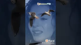 حاله واتس مصطفى كامل مش هو ده كان اختيارنا 