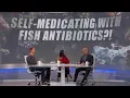 Self-Medicating with Fish Antibiotics