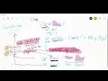 Scala Day 5 Constructors in Scala