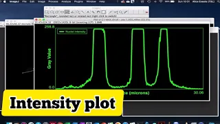 How to plot a line graph in imageJ or FIJI Intensity profile plot for microscope image