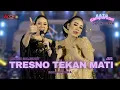 Download Lagu TRESNO TEKANE MATI - NIKEN SALINDRY - MAYANGKARA