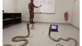 Python Tutorial List -02 Bangla