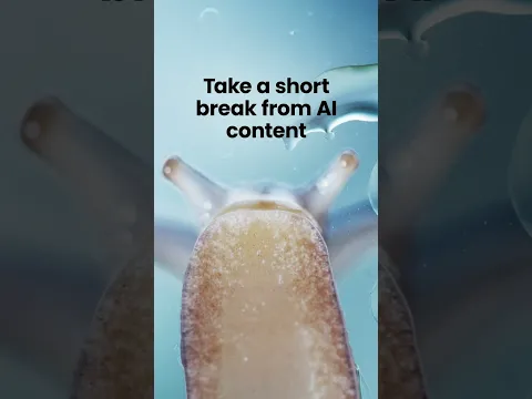 Take a short break from AI