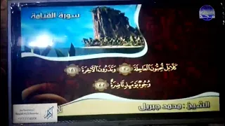 تلاوة رائعة من سورة القيامة القارئ محمد جبريل من مختارات المجد HD 