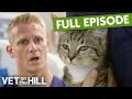Kitten Suffers Horrific Broken Leg After Big Fall S3 Ep4 Vet On The Hill