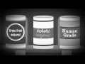 Royal Canin Nutritional Truths Debunking Pet Food Ingredient Myths