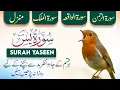 🕋Surah Yaseen | Surah Rehman | Surah Waqiah | Surah Al-Mulk | Manzil Dua | Dua | Episode_103