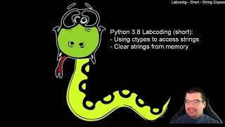 Python3 8 - ctypes How to access string from memory and how to memset them Short Labcoding