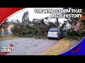 A Look Back on the 2015 Windstorm That Made History