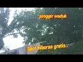 Download Lagu SPOT HIBURAN ANTI RESAH//MANCING LIAR PINGGIR WADUK SURABAYA