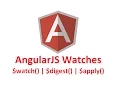 AngularJS Watch Tutorial watch digest and apply with Code Example