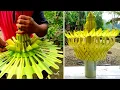 Download Lagu DIY | Membuat Kembar Mayang \u0026 Layur Dari Janur Kuning  | Beautiful Handicraft